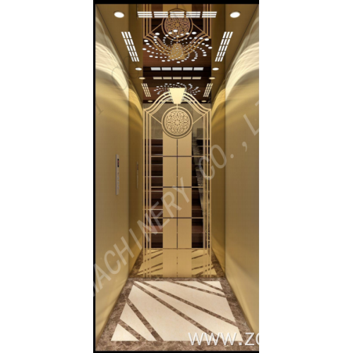 Passager ELevator for Building